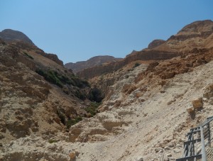 Ein Gedi