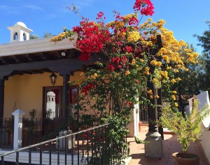 New Year's glory in Guatemala